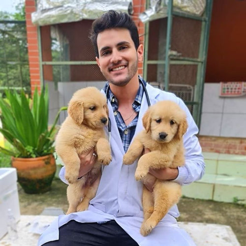 Dr. Andres T.