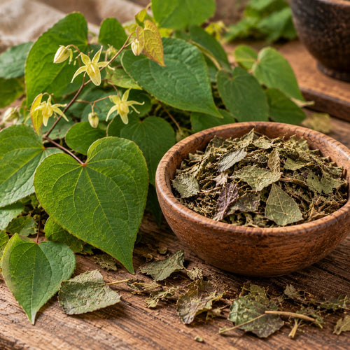 Epimedium